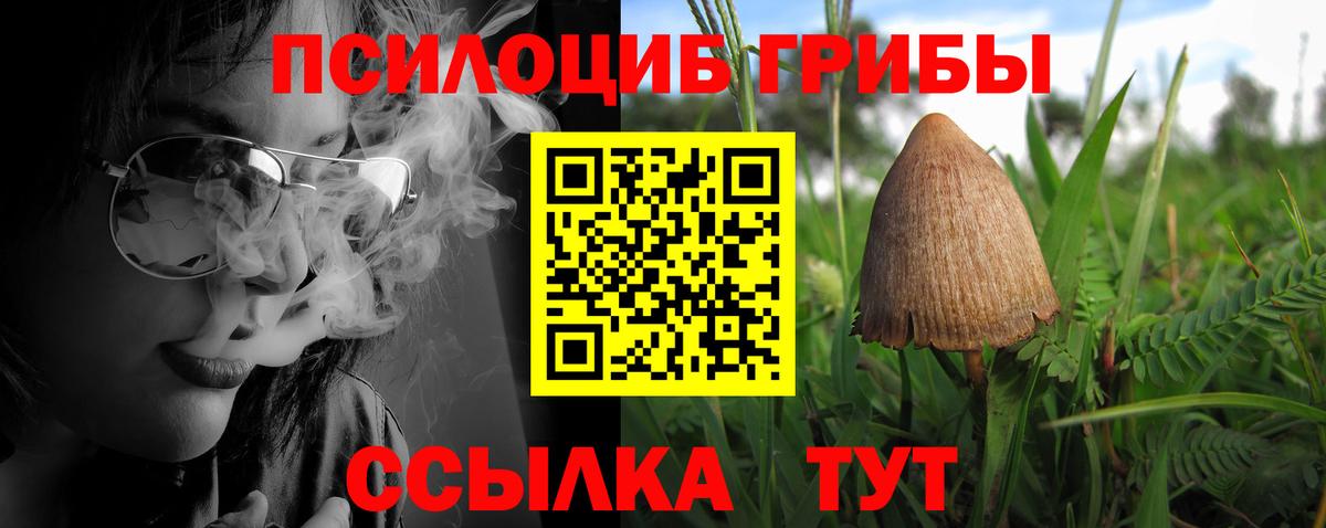 Копейск  Псилоцибиновые грибы прущие грибы  Вход с VPN  Галлюциногенные грибы Cubensis 